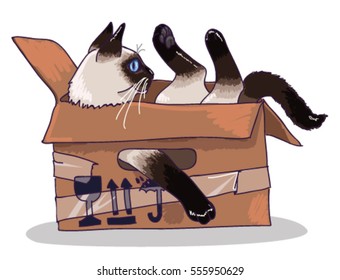 Colorful vector illustration of a siamese cat sitting in the cardboard box. Isolated on white background.