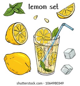 Colorful vector illustration in sketch style. Cool lemonade in a glass Cup with ice and mint. A whole lemon, half and slice with seeds. Set with lemons on white background.