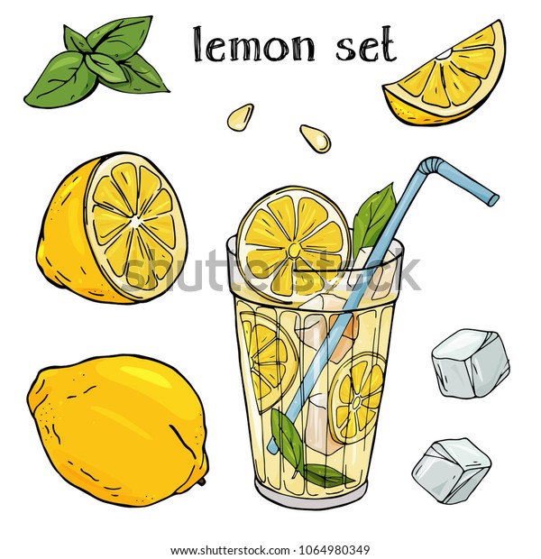 スケッチスタイルのカラフルなベクターイラスト アイスとミント を入れたグラスカップにレモネードを入れます レモン1枚 半分に種を入れて切る 白い背景にレモンをセット のベクター画像素材 ロイヤリティフリー