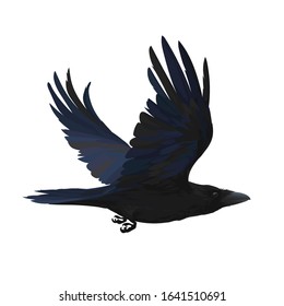 408 Common raven illustration Images, Stock Photos & Vectors | Shutterstock