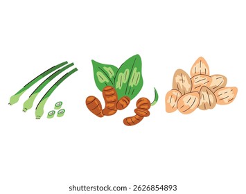 Colorful vector illustration of Southeast Asian cooking ingredients: lemongrass stalks, aromatic ginger, and candlenut. Ideal for culinary designs, herbal medicine visuals, Indonesian or Thai cuisine