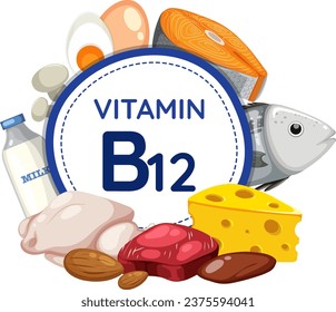 Colorful vector illustration of Vitamin B12 surrounded by nutritious food