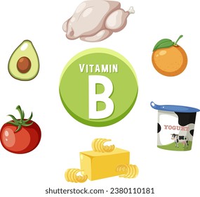 A colorful vector illustration of vitamin B-rich foods