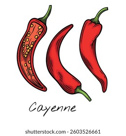 Colorful vector illustration of whole and sliced cayenne peppers. Perfect for food packaging, restaurant menus, and spicy ingredient branding.