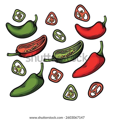 Colorful vector illustration of whole and sliced green and red jalapeño peppers, showing vibrant colors and seeds. Ideal for food packaging, restaurant menus, and spicy ingredient branding.
