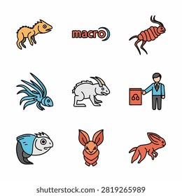 Colorful vector illustrations of a cow, peacock, pig, sheep, fish, crab, turtle, dog, cat, bird, book, wallet, gift box, shoe, and car