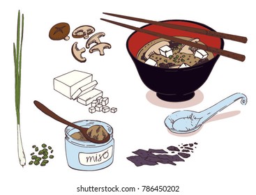 A colorful vector image of  served a bowl of tasty miso soup with a spoon and food stick, and fresh ingredients for miso soup