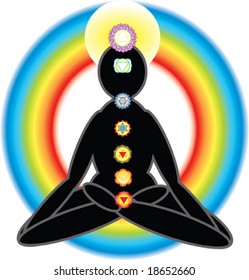 colorful vector images of chakras