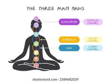 Colorful vector infographic explaining energetic interconnection between Chakras via Nadis channels in human body. Visualization of Nadis concept in a simple way.