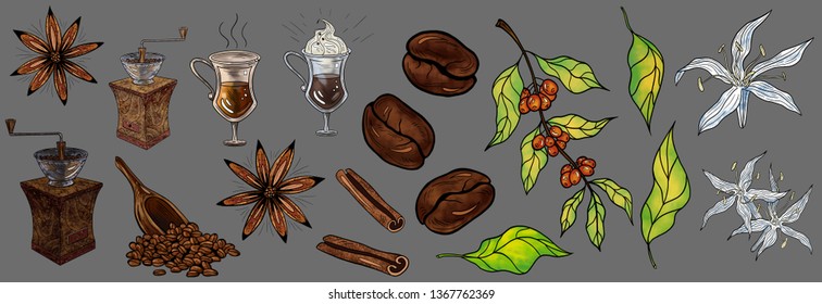 Colorful vector isolated Coffee set  - with coffee branch, beans, decor elements, drinks, cinnamon, anise star, old manual grinder, 
coffee scoop and stylized coffee flowers