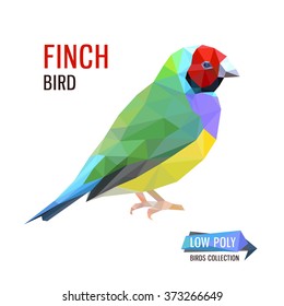 Colorful vector Low Poly finch bird, vector illustration