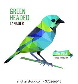 Colorful vector Low Poly green-headed tanager, vector illustration