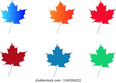 colorful vector of maple leaves with white background 