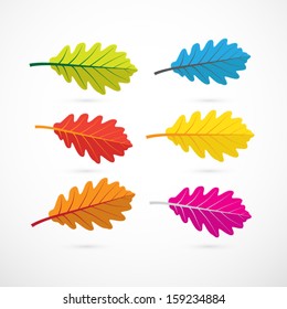 Colorful Vector Oak Leaves Isolated on White Background