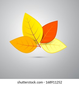 Colorful Vector Orange Autumn Leaves Isolated on Grey Background