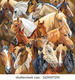 Colorful vector pattern with realistic portraits of horses breeds. Vector colorful background with portraits of horses. Illustration is good for postcards, design and posters.