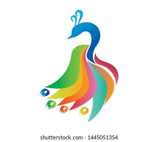 Colorful vector peacock beautiful logo design.