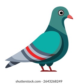 Colorful Vector Pigeon Illustrations, Flat Stylized Bird Clipart design, silhouette, Colorful Vector Pigeon illustration, vector silhouette