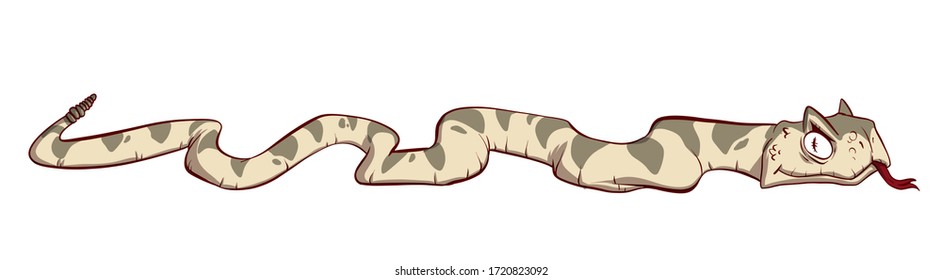 Colorful Vector Rattle Snake Illustration