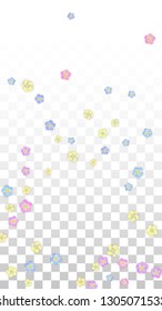 Colorful Vector Realistic Petals Falling on Transparent Background.  Spring Romantic Flowers Illustration. Flying Petals. Sakura Spa Design. Blossom Confetti. Design Elements for  Wedding Decoration.