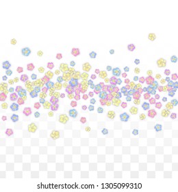 Colorful Vector Realistic Petals Falling on Transparent Background.  Spring Romantic Flowers Illustration. Flying Petals. Sakura Spa Design. Blossom Confetti. Design Elements for  Poster Design. 