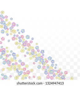 Colorful Vector Realistic Petals Falling on Transparent Background.  Spring Romantic Flowers Illustration. Flying Petals. Sakura Spa Design. Blossom Confetti. Design Elements for  Mother's Day.