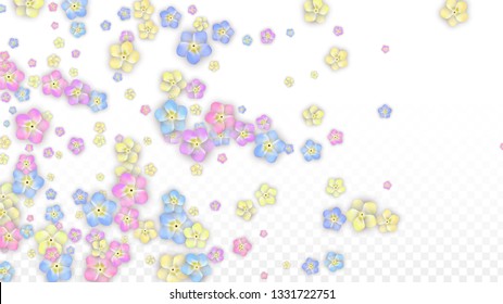 Colorful Vector Realistic Petals Falling on Transparent Background.  Spring Romantic Flowers Illustration. Flying Petals. Sakura Spa Design. Blossom Confetti. Design Elements for  Poster Design. 