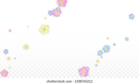 Colorful Vector Realistic Petals Falling on Transparent Background.  Spring Romantic Flowers Illustration. Flying Petals. Sakura Spa Design. Blossom Confetti. Design Elements for  Poster Design. 