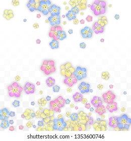 Colorful Vector Realistic Petals Falling on Transparent Background.  Spring Romantic Flowers Illustration. Flying Petals. Sakura Spa Design. Blossom Confetti. Design Elements for  Poster Design. 