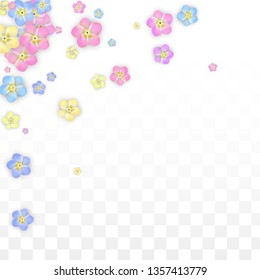 Colorful Vector Realistic Petals Falling on Transparent Background.  Spring Romantic Flowers Illustration. Flying Petals. Sakura Spa Design. Blossom Confetti. Design Elements for  8 March Card.