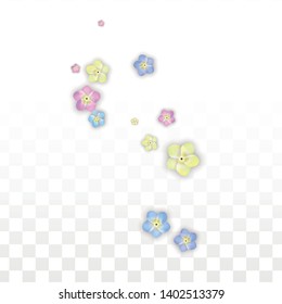 Colorful Vector Realistic Petals Falling on Transparent Background.  Spring Romantic Flowers Illustration. Flying Petals. Sakura Spa Design. Blossom Confetti. Design Elements for  Poster Design. 