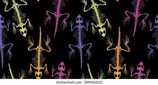 Colorful vector seamless pattern with skeletons of lizards on a black background
