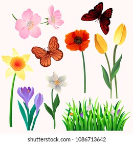 Colorful vector set of beautiful spring flowers and butterflies. Blooming garden plants and flying insects. Natural decorative elements