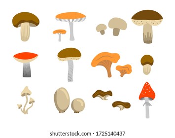 Colorful vector set of different mushrooms