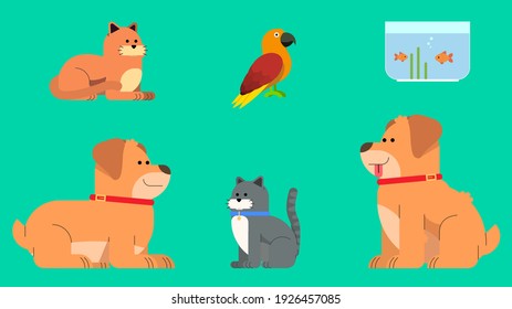 Colorful vector set of domestic pets. Healthcare and food for domestic animals. Grooming salon. Flat style pets with their accessories and toys. Concept for animal store.