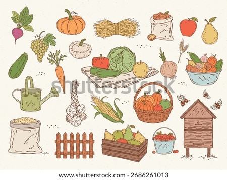 Colorful vector set of farm harvest with fruits, vegetables, basket, beehive, and bees in hand-drawn style. Perfect for organic food, farmers market, and seasonal design projects