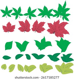 A colorful vector set of various leaf types and shapes, including tropical, autumn, and botanical styles. Ideal for nature, seasonal, or decorative design projects.