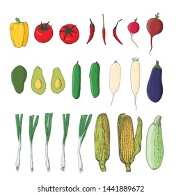 Colorful vector set of vegetables. Cucumber, chilli pepper, eggplant, corn, tomatoes, avocado, beetroot and daikon radish. Veggies for farming product design.