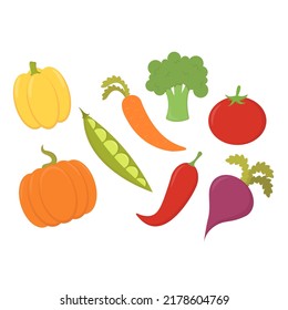 Colorful vector set of vegetables isolated on white background. Bundle of healthy and tasty vegan food