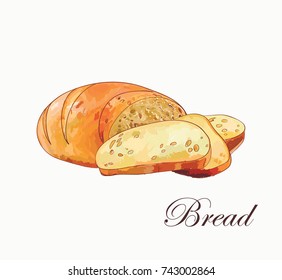 Colorful vector sketch of bread in center of illustration