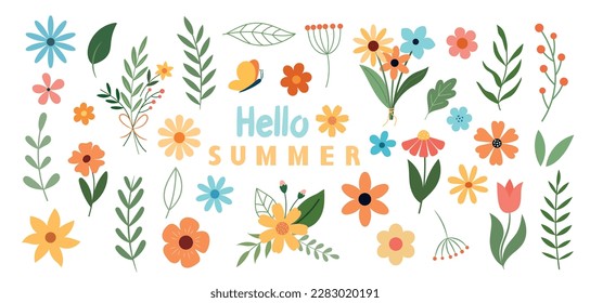 Colorful vector summer set of flowers and plants. Botanical illustration. 