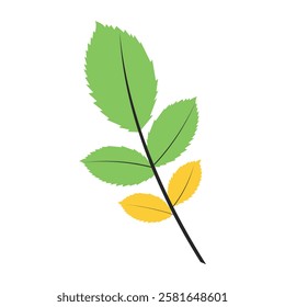 Colorful Vector Tree Leaves Illustration Editable Design with Transparent Background Perfect for Nature Inspired Graphics Seasonal Artwork and Botanical Aesthetic Elements