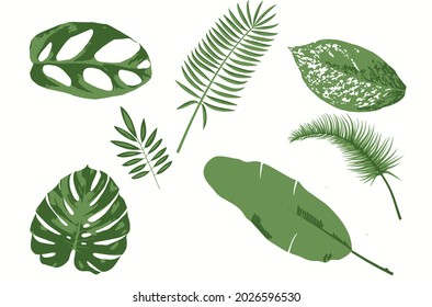 colorful vector tropical leaves collection