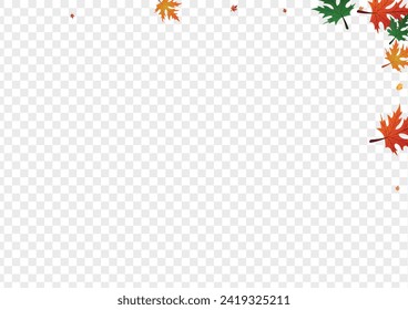 Vector transparente de fondo vegetal colorido. Tarjeta de septiembre naranja. Textura de Octubre de Gourd Rojo. Calabaza saludable. Cartel de selección.