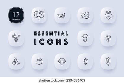 Colorful vegetable icon set. Carrots, tomatoes, broccoli, bell peppers, onions, peas. Vegetable. Neomorphism style. Vector line icon for Business and Advertising