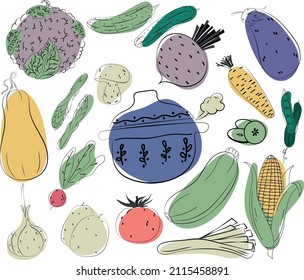 Colorful Vegetable Set With Pot. Collection vector illustration food icon. Sketch of tomato, cauliflower, corn, leeks, cucumber, asparagus, tomato, carrot, eggplant, onion, beet, radish and other.