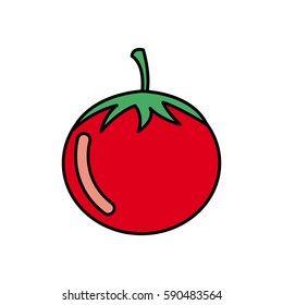 colorful vegetable tomato icon, vector illustraction design image