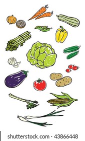 colorful vegetables
