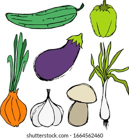 Colorful vegetables, food vector illustrations