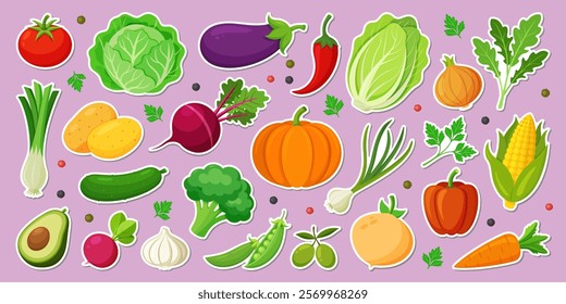 Colorful vegetables and salad stickers set. Modern Hand drawn Trendy flat style. Organic vegetarian food. Tomato onion eggplant leek potatoes corn pepper beet cucumber. Vector flat illustration